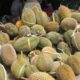 Memperbaiki Rasa dan Kualitas Buah Durian